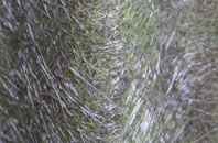 Stopham fibreglass roof work